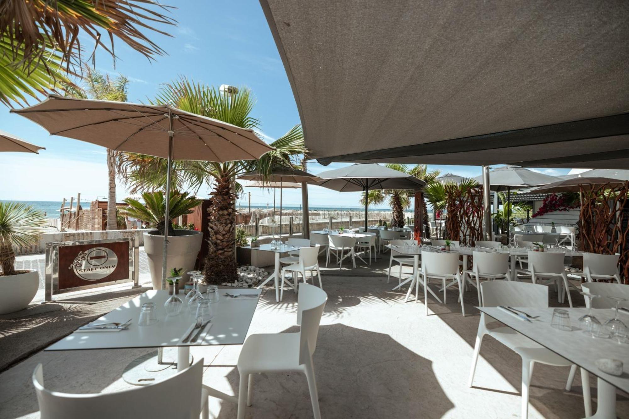 Appartement 1Ere Ligne Piscine Terrasse Au Bord De La Plage Front De Mer Avec 6 Velos 팔라바 레 플로 외부 사진